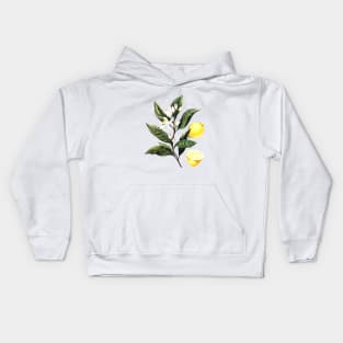 Lemon Kids Hoodie